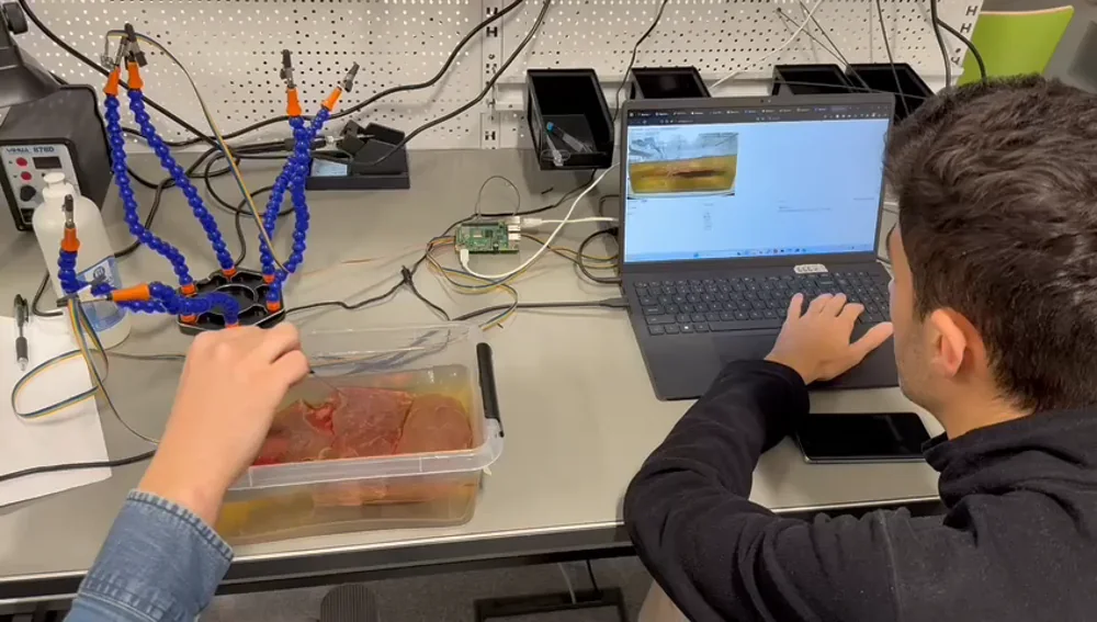 Researcher reviewing measurements during a VIBRONAV acquisition session